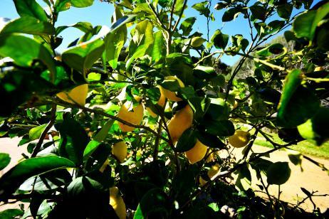 Farm stay Lu Rotu Sant'Antonio di Gallura