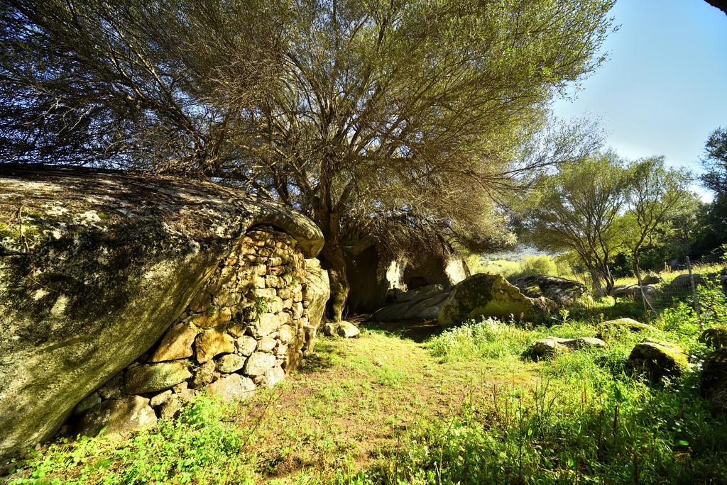 Lu Rotu Farm stay *
